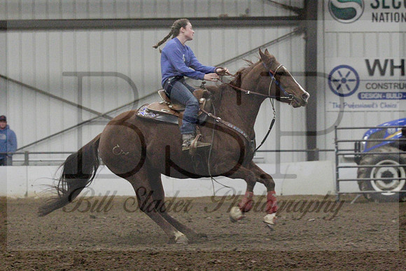 NYS17SaC2342009