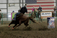 NYS17SaC1335798