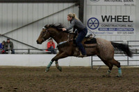 NYS17SaC1337028