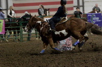 NYS17SaC1337192