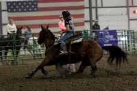 NYS17SaC1338544