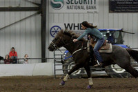 NYS17SaC1336444