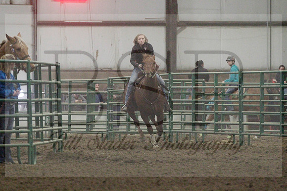 NYS17SaC1337254
