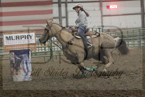 NYS17SaC2342327