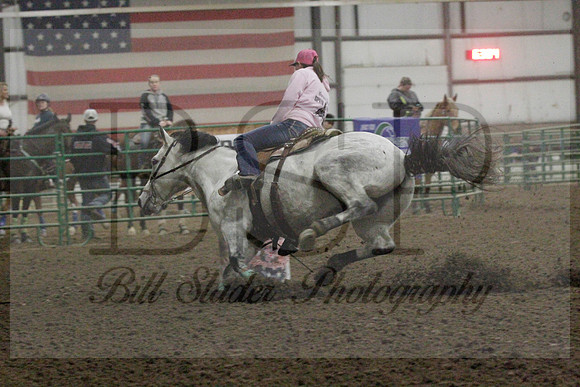 NYS17SaC1337139