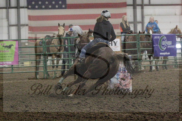 NYS17SaC1336252