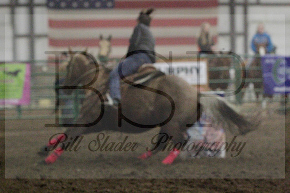NYS17SaC1336311