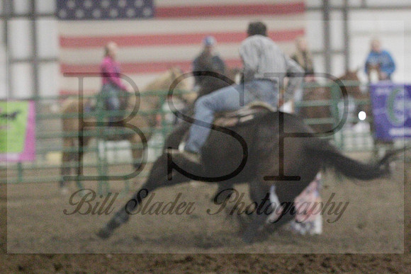 NYS17SaC1336100