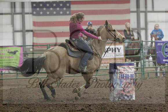 NYS17SaC1336161