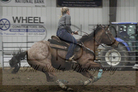 NYS17SaC1337016