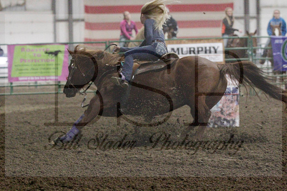 NYS17SaC1336008