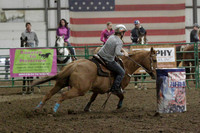 NYS17SaC1335434