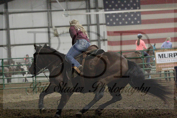 NYS17SaC1338123
