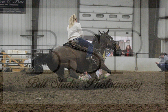 NYS17SaC1338819