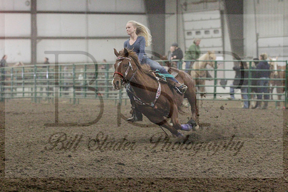 NYS17SaC1336002