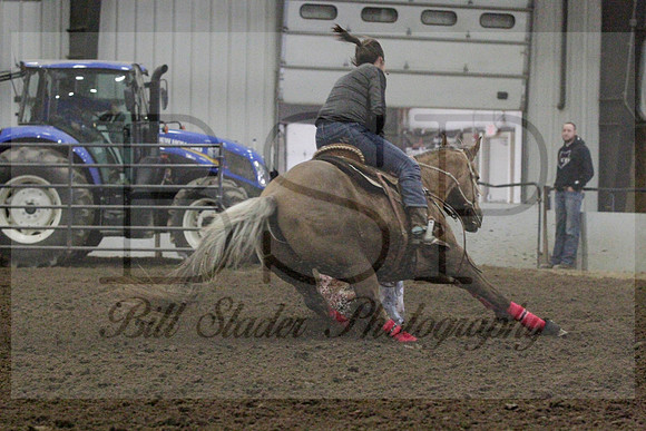 NYS17SaC1336352
