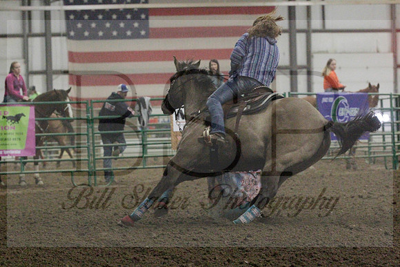 NYS17SaC1337450