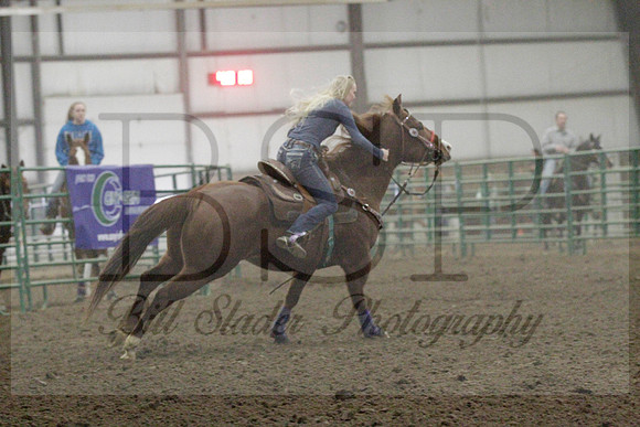 NYS17SaC1336018