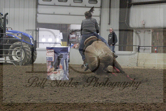 NYS17SaC1336354