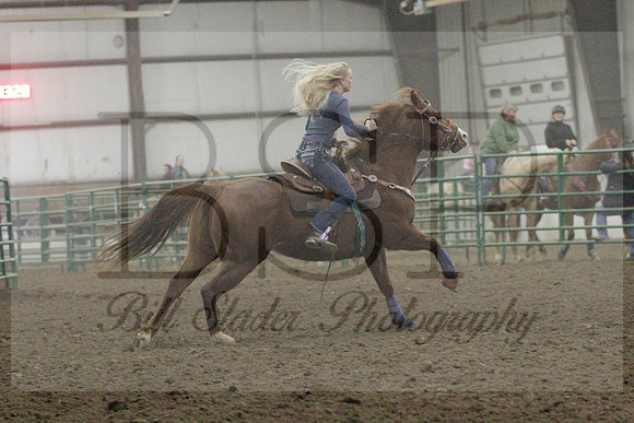 NYS17SaC1336020