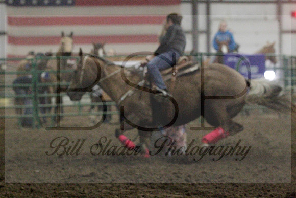 NYS17SaC1336310