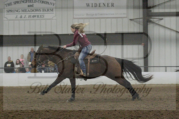 NYS17SaC1338180