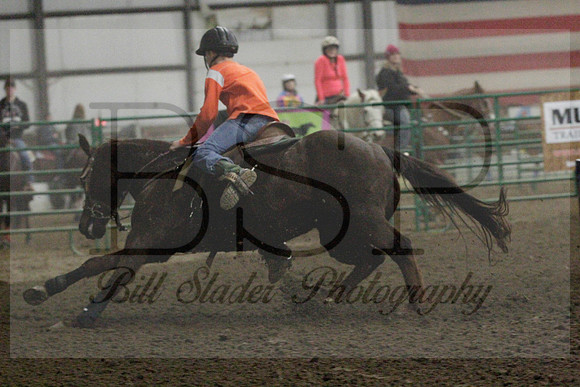 NYS17SaC2341035