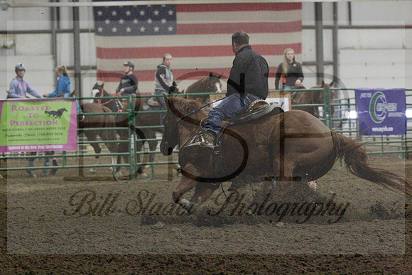 NYS17SaC1336540