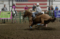 NYS17SaC1335432