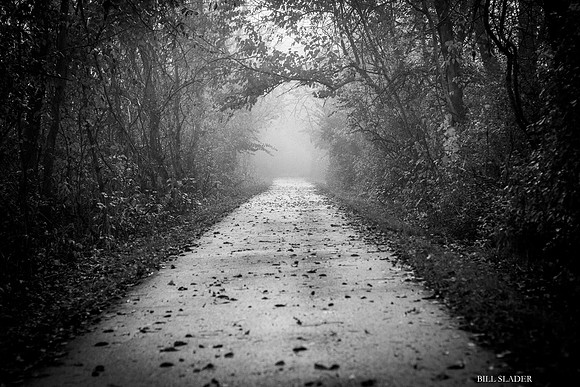Into the Mystic-6068