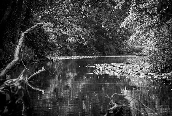 Graceland B&W-8408