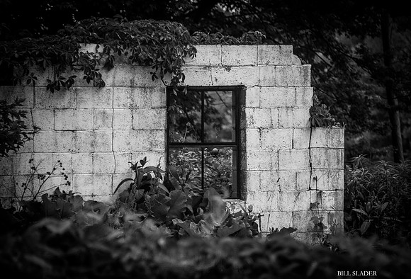 The Way It Was B&W-8537