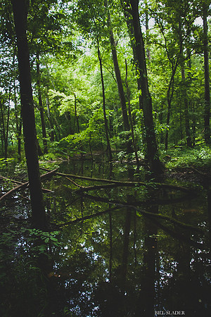bhand Gorge 6212015-8962