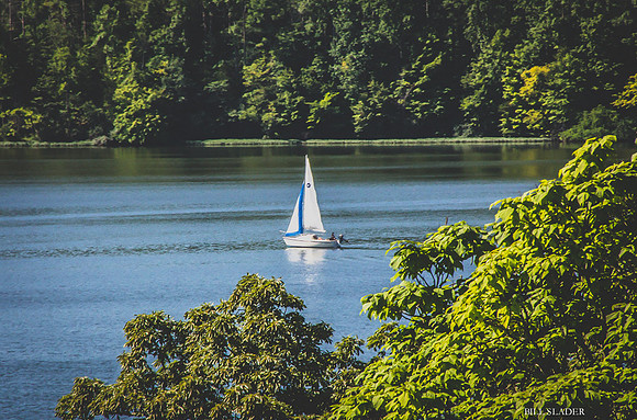 hueston woods sail boat-8950
