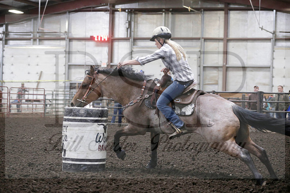 CWROH0618C106253