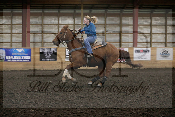 CWROH0618C201398