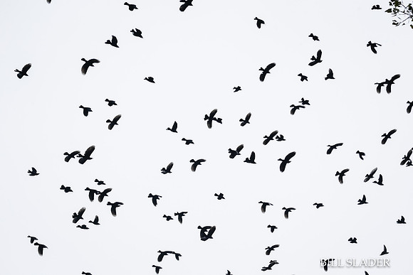 Oct8201800140