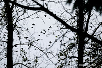 Oct8201800097