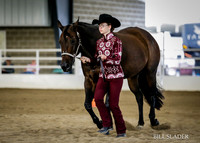 mvshafosc201206