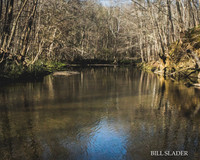 8x10-0402