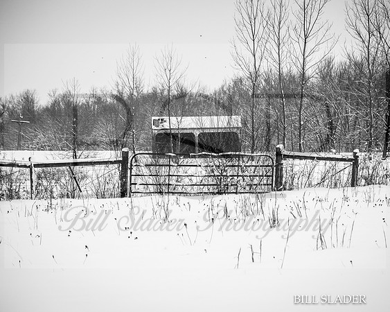 8x10byardbarn--2