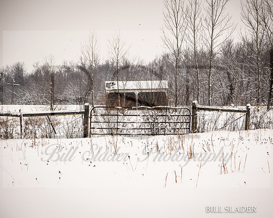 8x10byardbarn-