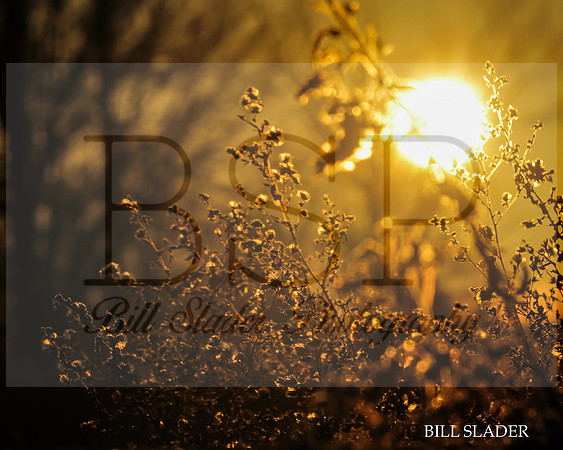 8x10goldenhour-