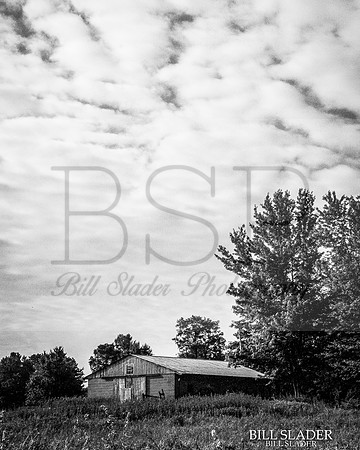 8x10rosebarn-8426
