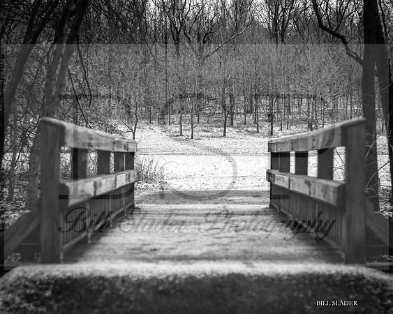 8x10123-
