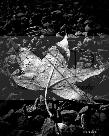 8x10-0893