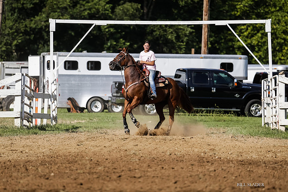 BRM19c24487