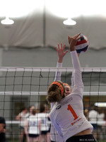 M41 -- NJC Tourney